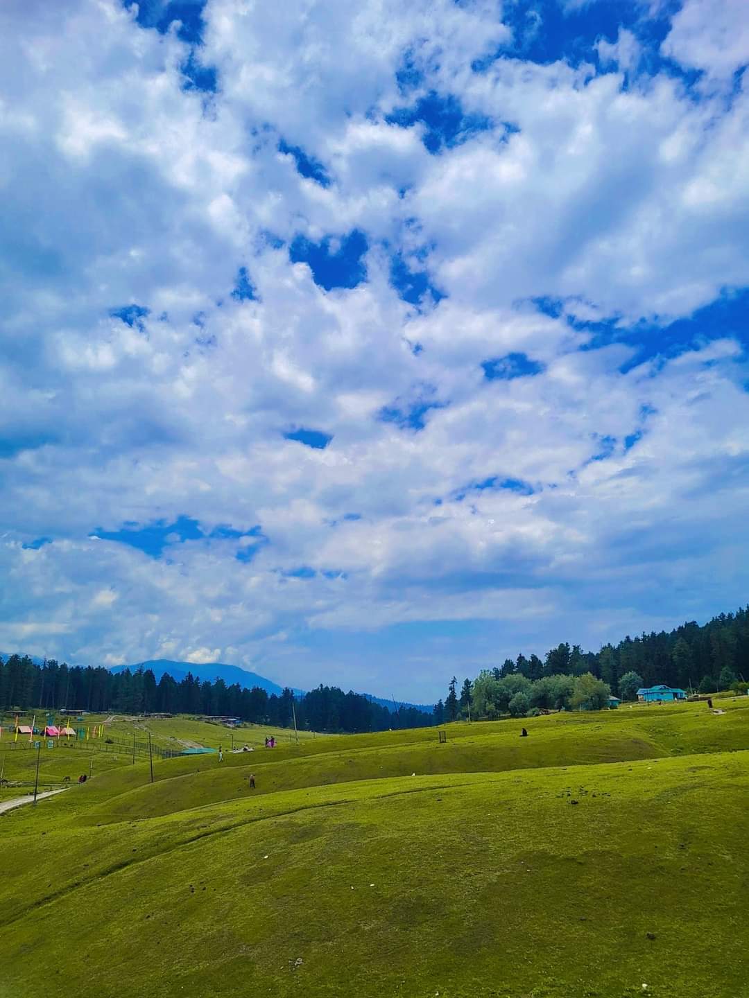 A mesmerizing picture of Yusmarg Budgam Kashmir 