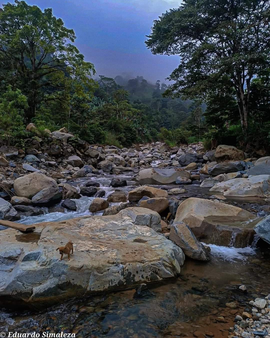 Atardecer en rio rocoso