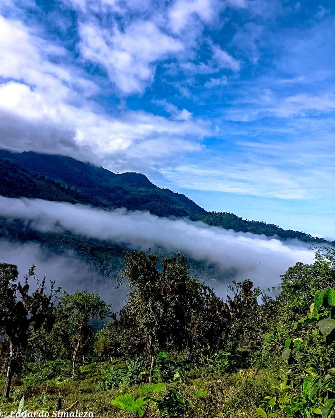 Serenidad de la montaña en la niebla